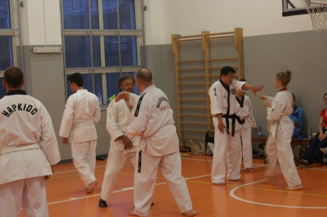 hapkido - stage ed esami