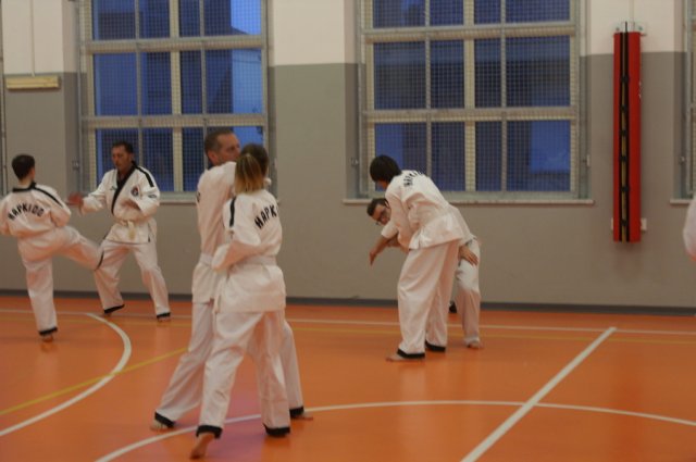 hapkido - stage ed esami