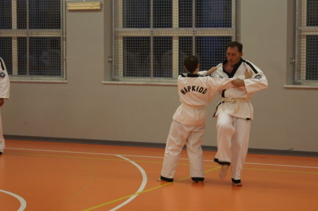 hapkido - stage ed esami