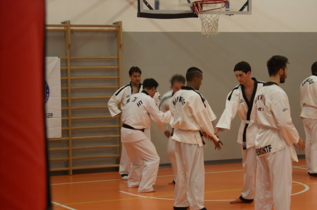 hapkido - stage ed esami