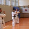 hapkido - stage ed esami