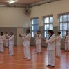 hapkido - stage ed esami