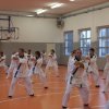 hapkido - stage ed esami