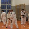 hapkido - stage ed esami