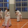 hapkido - stage ed esami