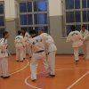 hapkido - stage ed esami