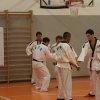 hapkido - stage ed esami