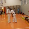 hapkido - stage ed esami