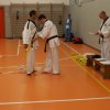 hapkido - stage ed esami