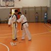 hapkido - stage ed esami