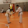 hapkido - stage ed esami