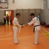 hapkido - stage ed esami