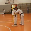 hapkido - stage ed esami