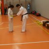 hapkido - stage ed esami