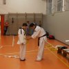 hapkido - stage ed esami